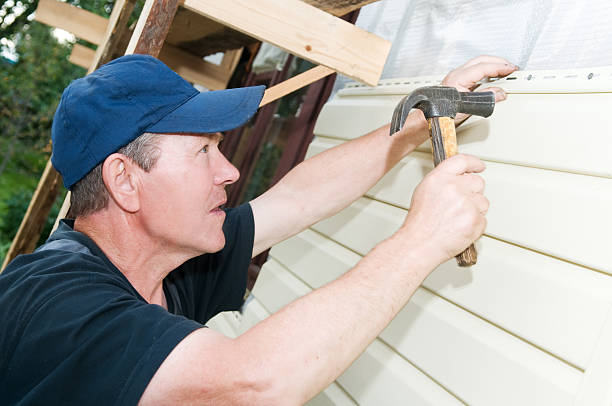Best Custom Siding Design  in Lecanto, FL
