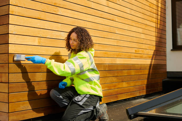 Best Stucco Siding  in Lecanto, FL