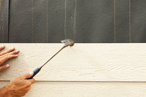 Best Historical Building Siding Restoration  in Lecanto, FL